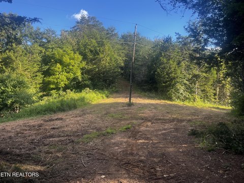 Lots & Acreage, Knoxville, TN