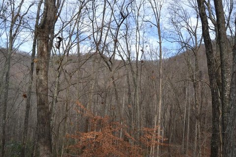 Wooded Acreage in Gated Community