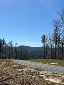 LAND - Morganton, GA