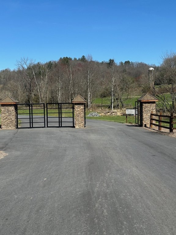Picture 8