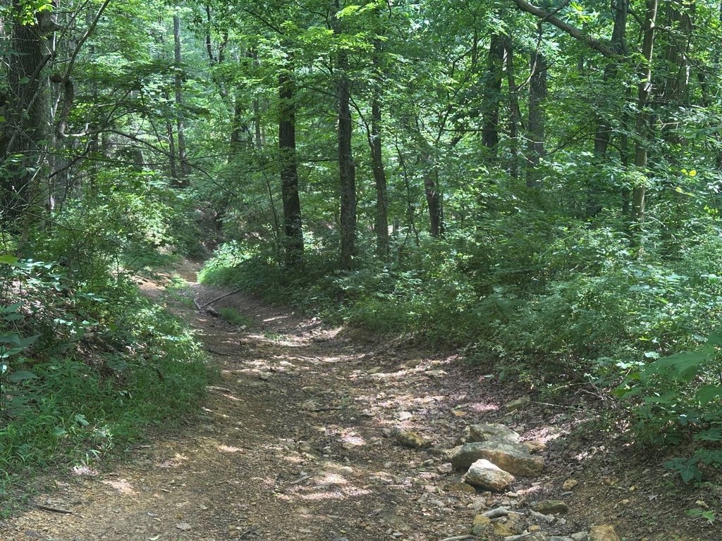 Picture 6
