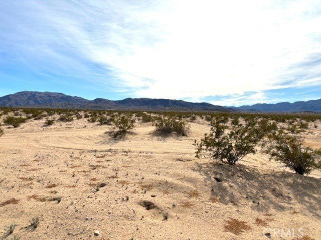 Picture 5