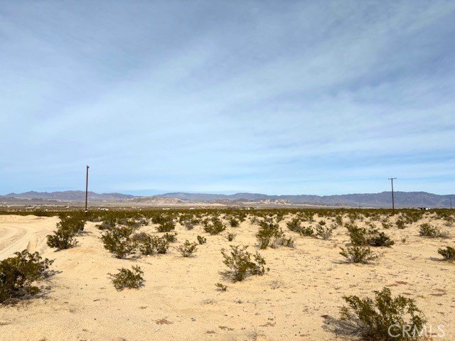 Picture 2