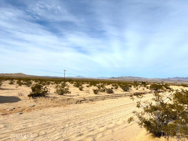 Picture 8