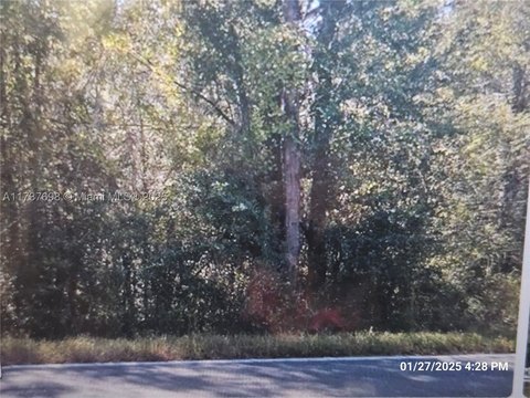 Residential Lot in Hawthorne, Florida