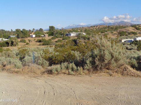 Palmdale Land with Mountain Views