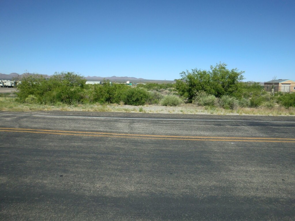 Picture 6