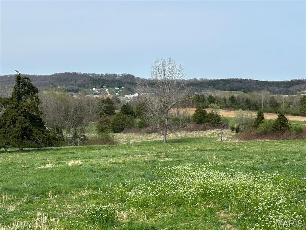 Picture 11