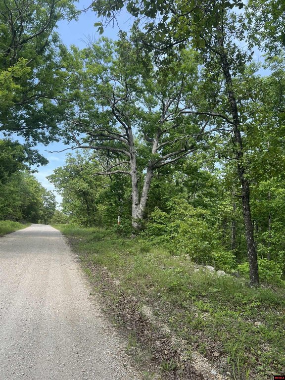 Picture 8