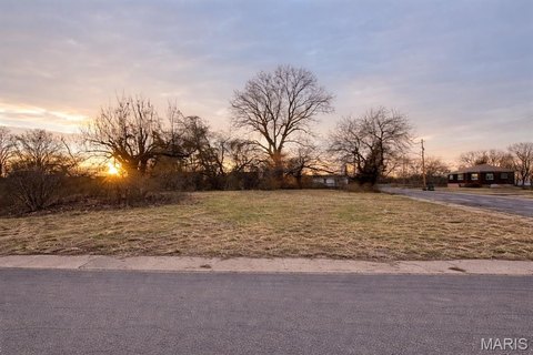 Vacant Land in Madison, IL