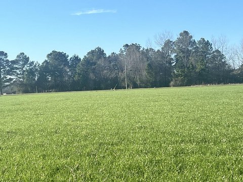 Pasture Land in Petal School