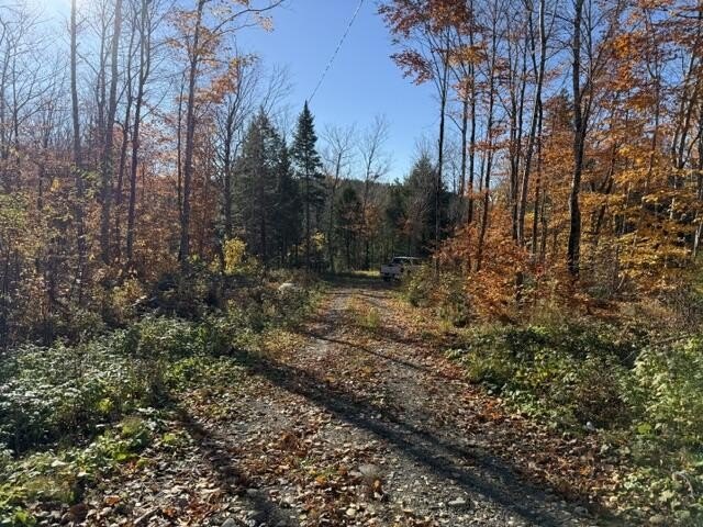 Picture 13