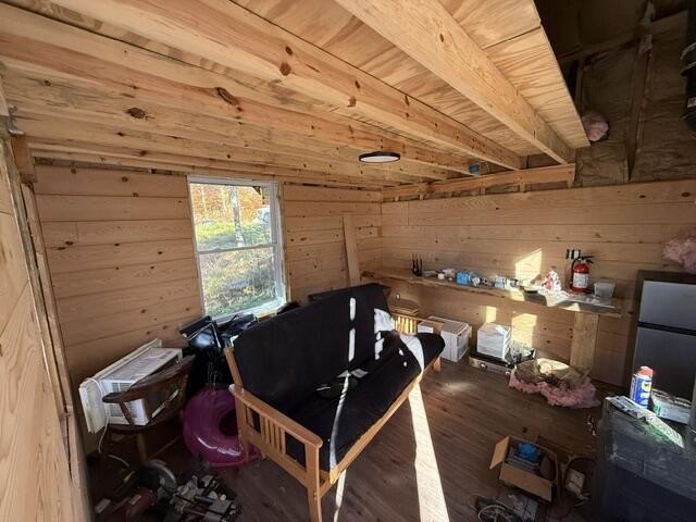 Picture 15