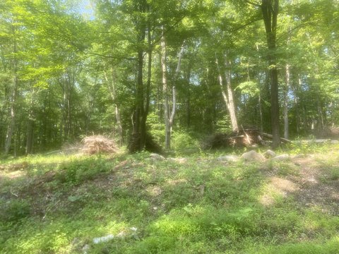 Two Acre Lot Ready to Build