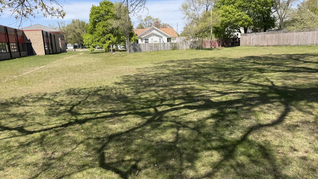 Picture 4