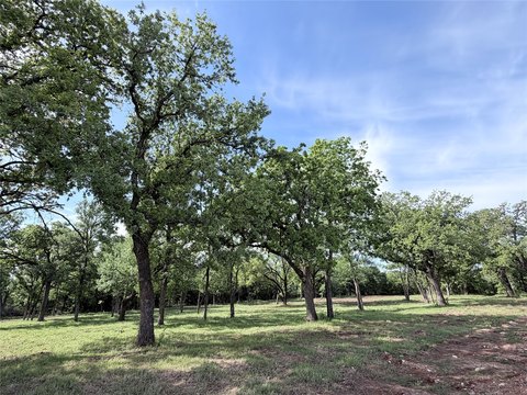 Land in Gated Whitney Subdivision
