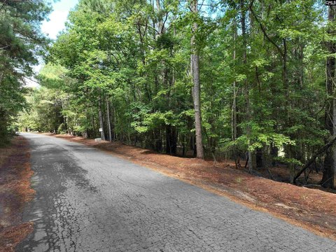 Gently Sloping Lake-Access Lot