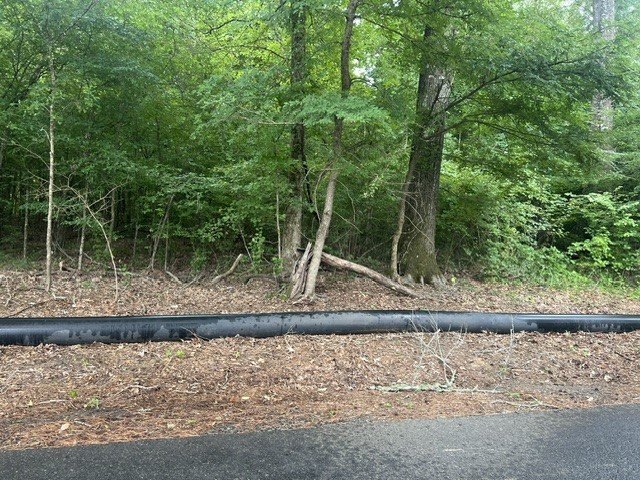 Picture 3
