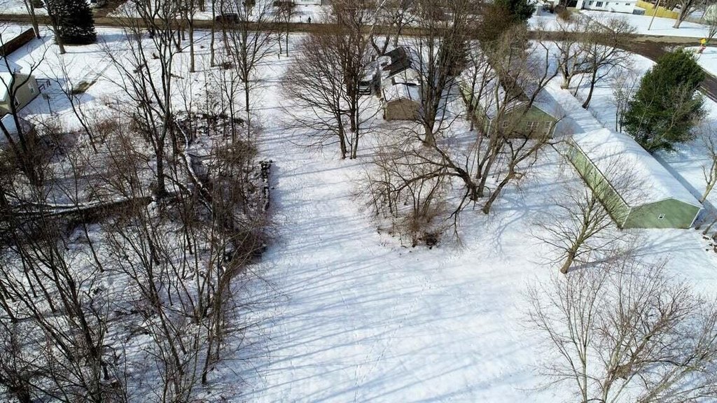 Picture 8