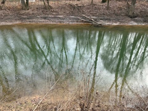 Wooded Waterfront Recreation Land