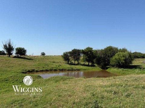 Productive Grain and Timber Hunting Land