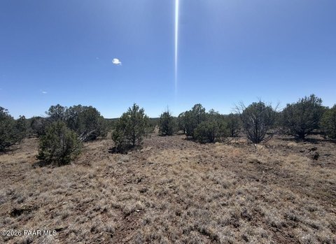 Land Near Kaibab National Forest