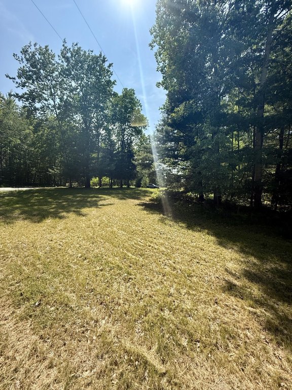 Picture 9