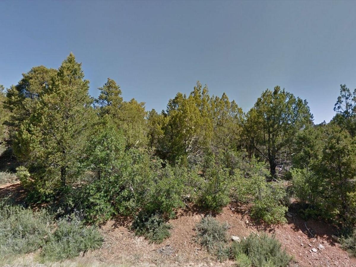 Duck Creek Private Campsite Land