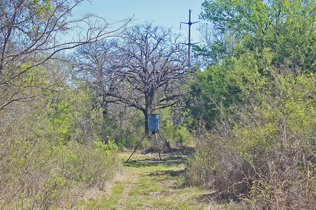Picture 20