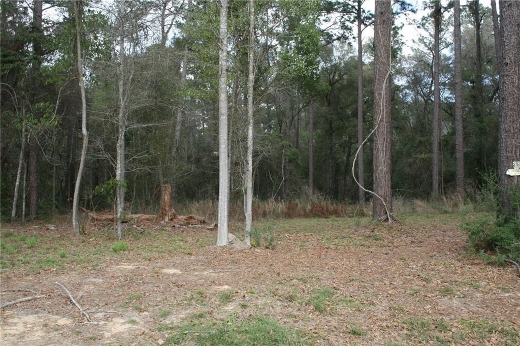 Picture 3