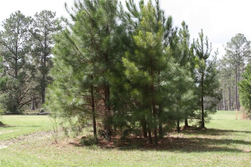 Picture 8
