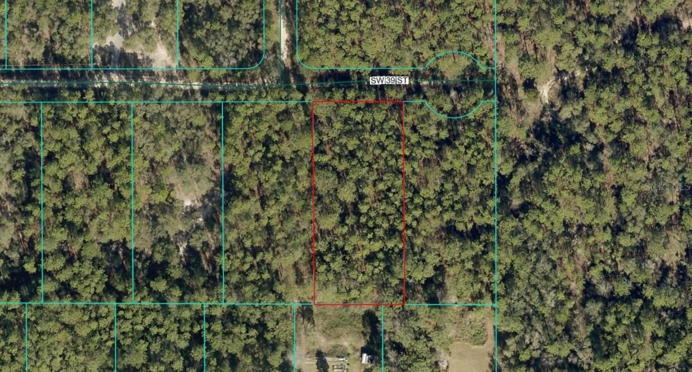 Land Near Rainbow River