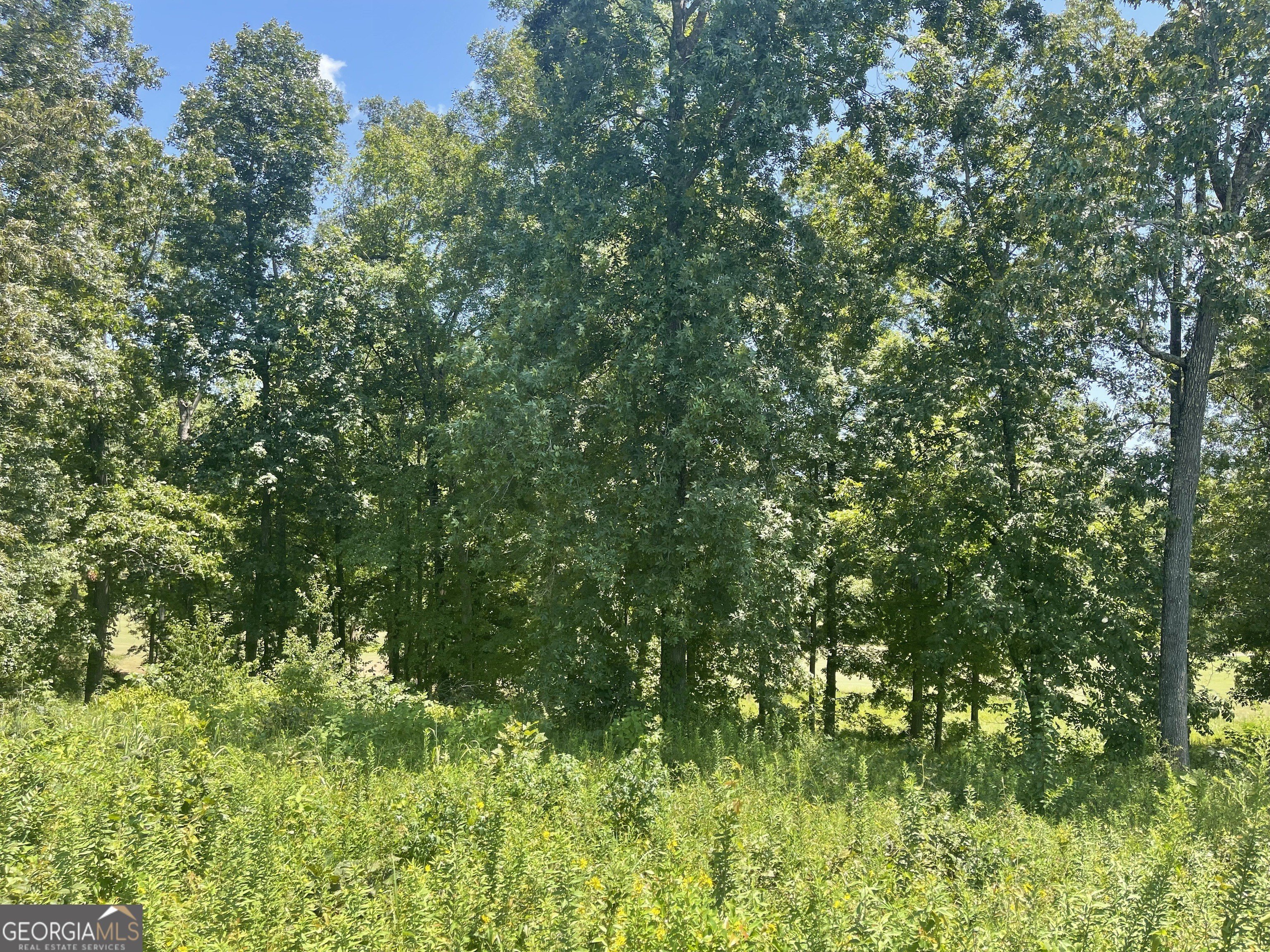 Residential Land in Southern Hills