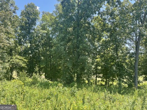 Residential Land in Southern Hills