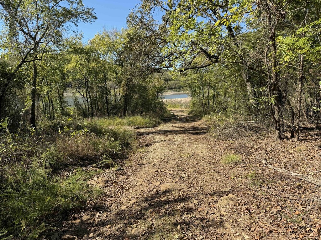 Picture 36