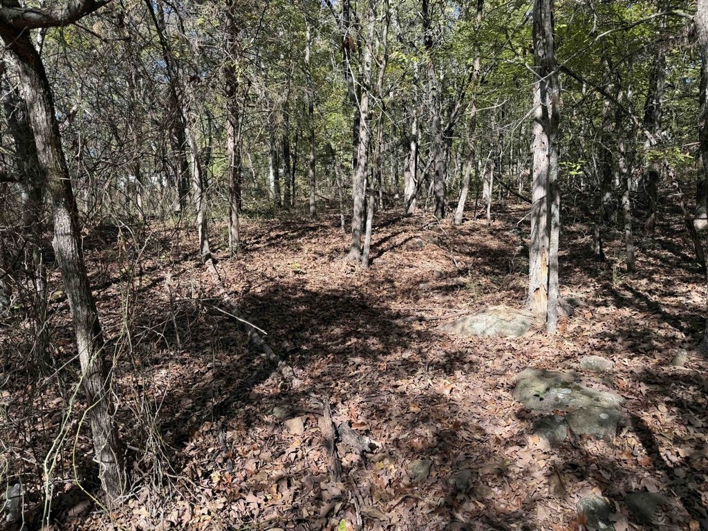 Picture 26