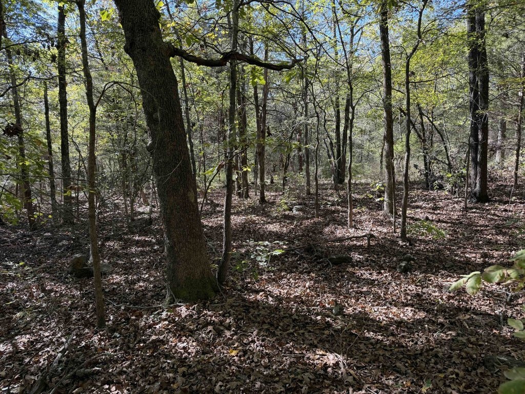 Picture 22