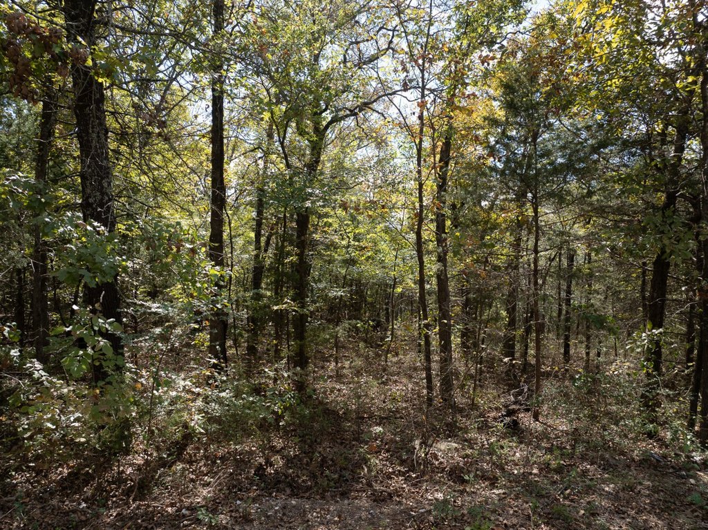 Picture 18