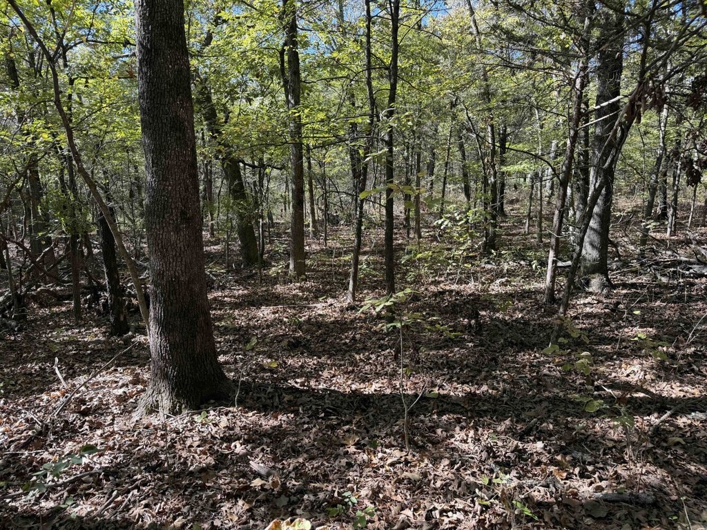 Picture 7