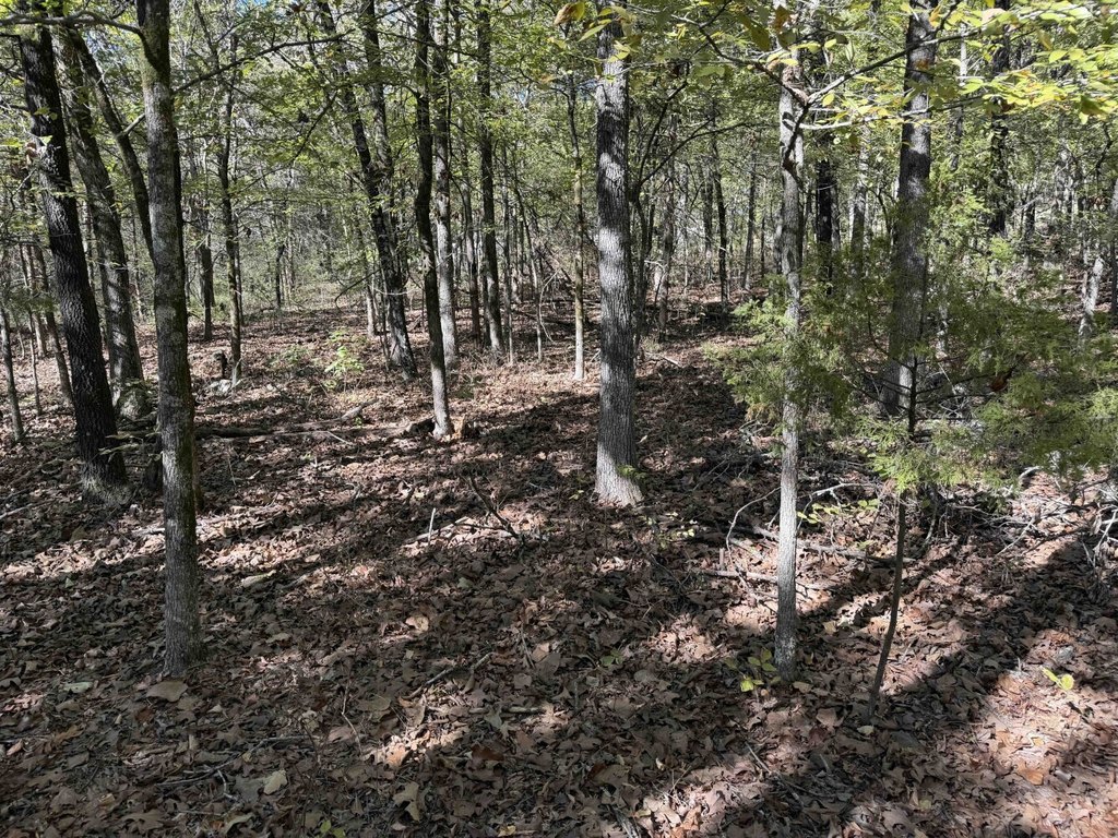 Picture 28