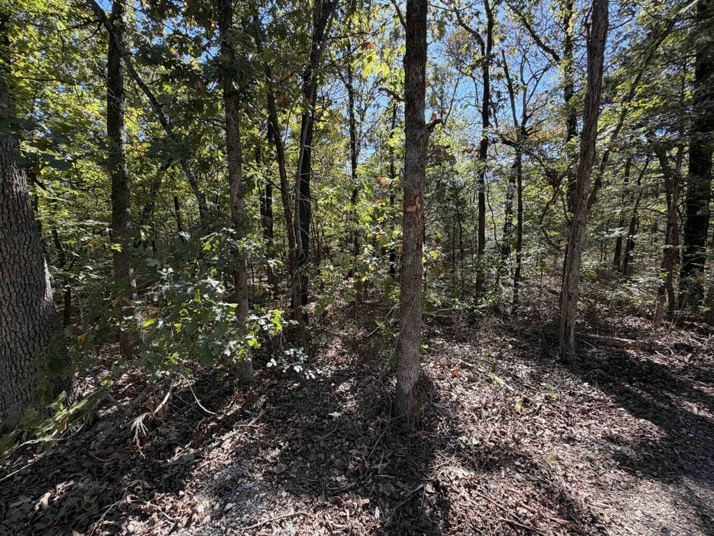 Picture 11