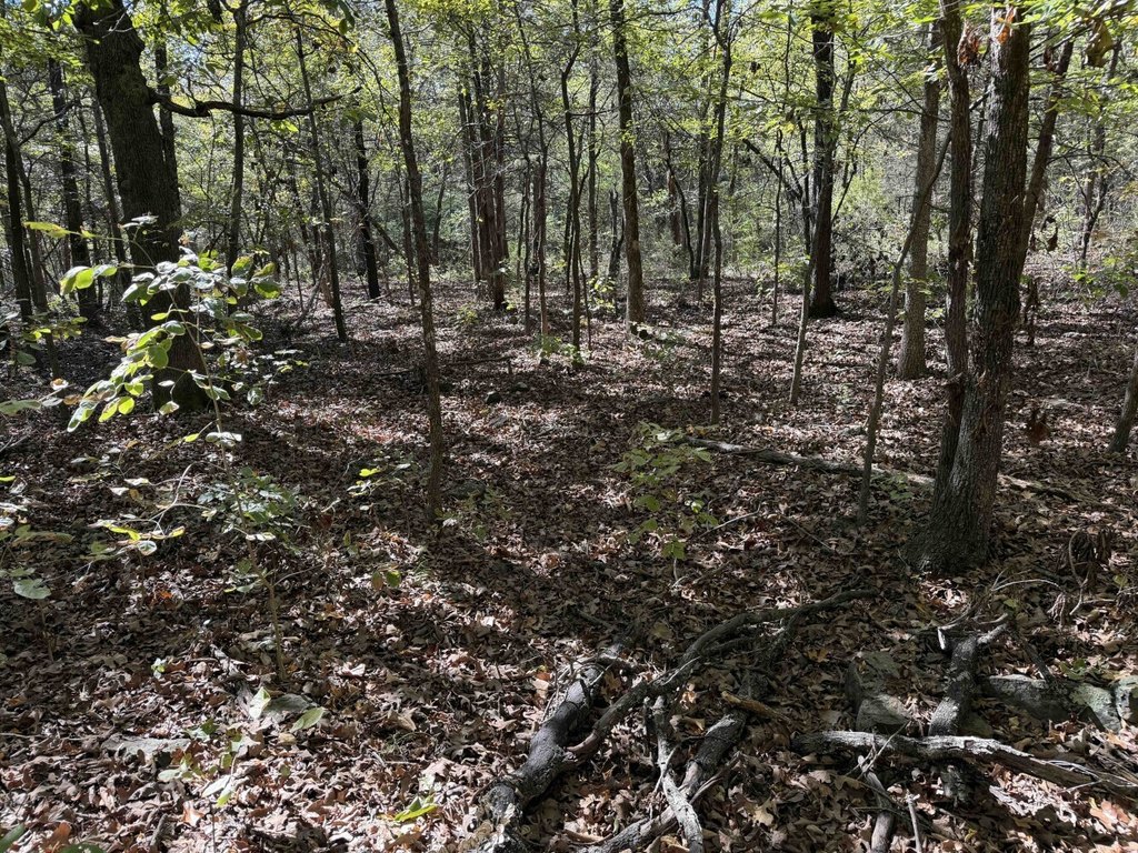 Picture 21