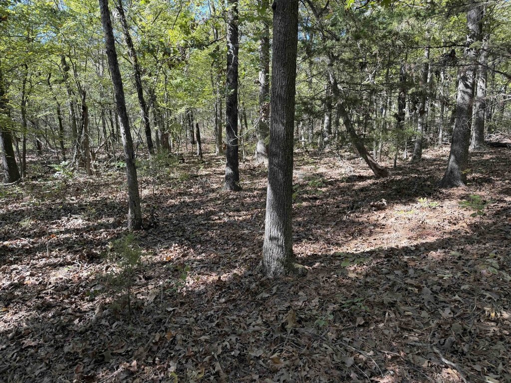 Picture 30