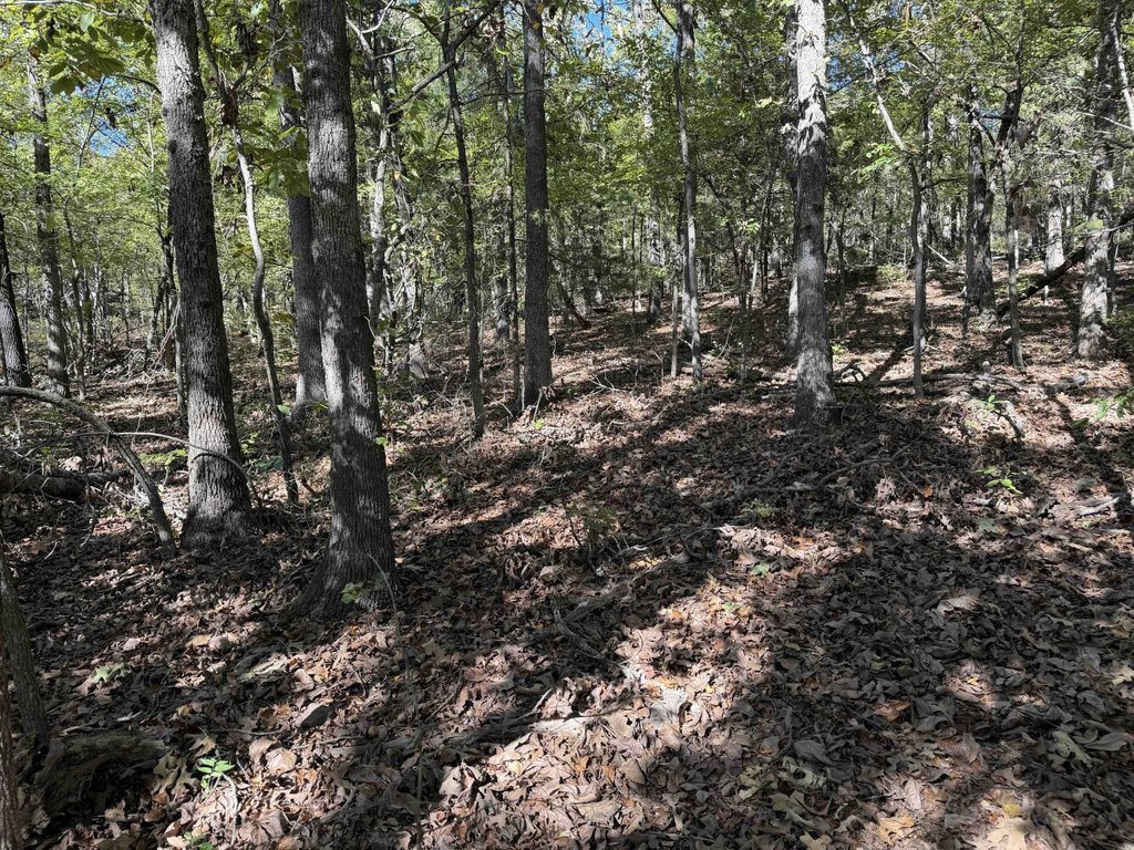 Picture 29