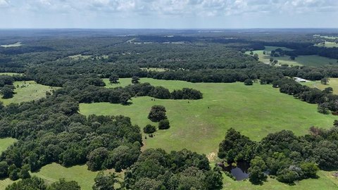66 Acres of Texas Land