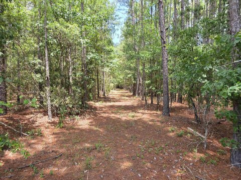 LAND, Nichols, SC