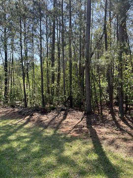 Land, McCormick, SC