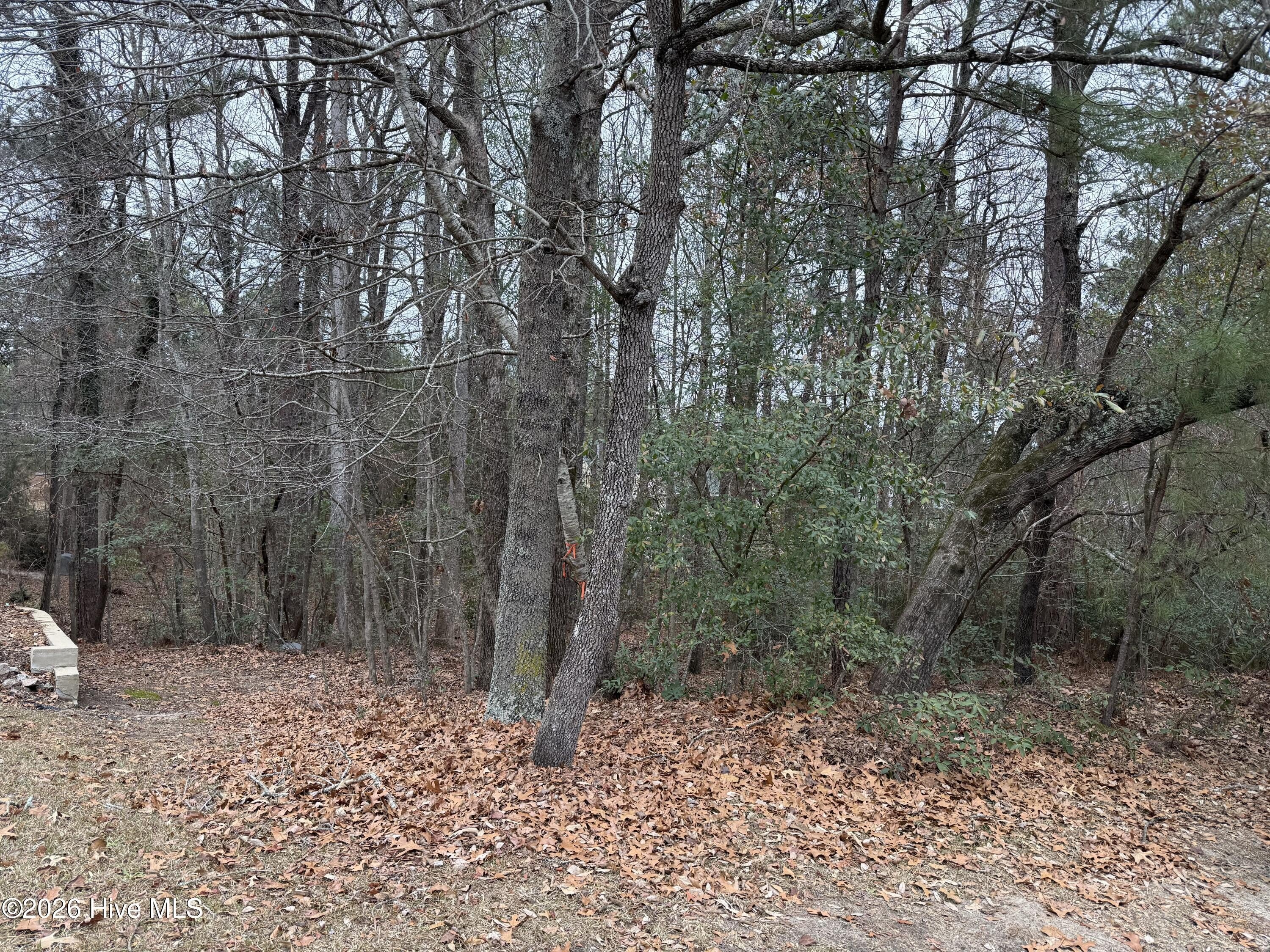 Pinehurst Wooded Lot For Sale