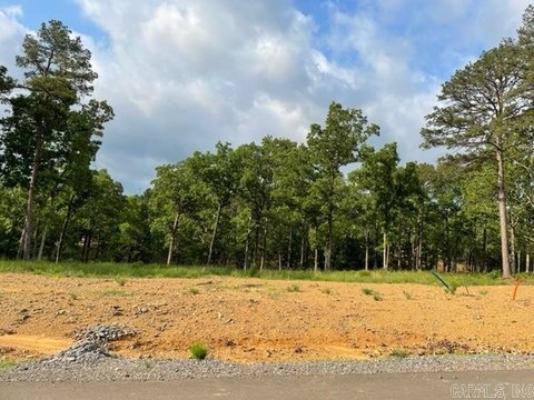 Residential Land in Conway, AR