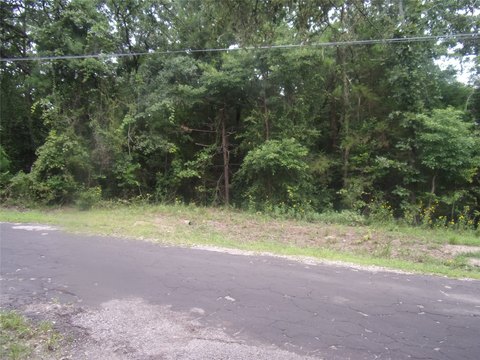 Callender Lake Treed Lot